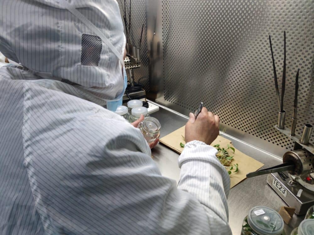 微信图片_20250228161449